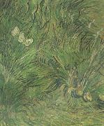 Vincent Van Gogh Two White Butterflies (nn04) Sweden oil painting artist